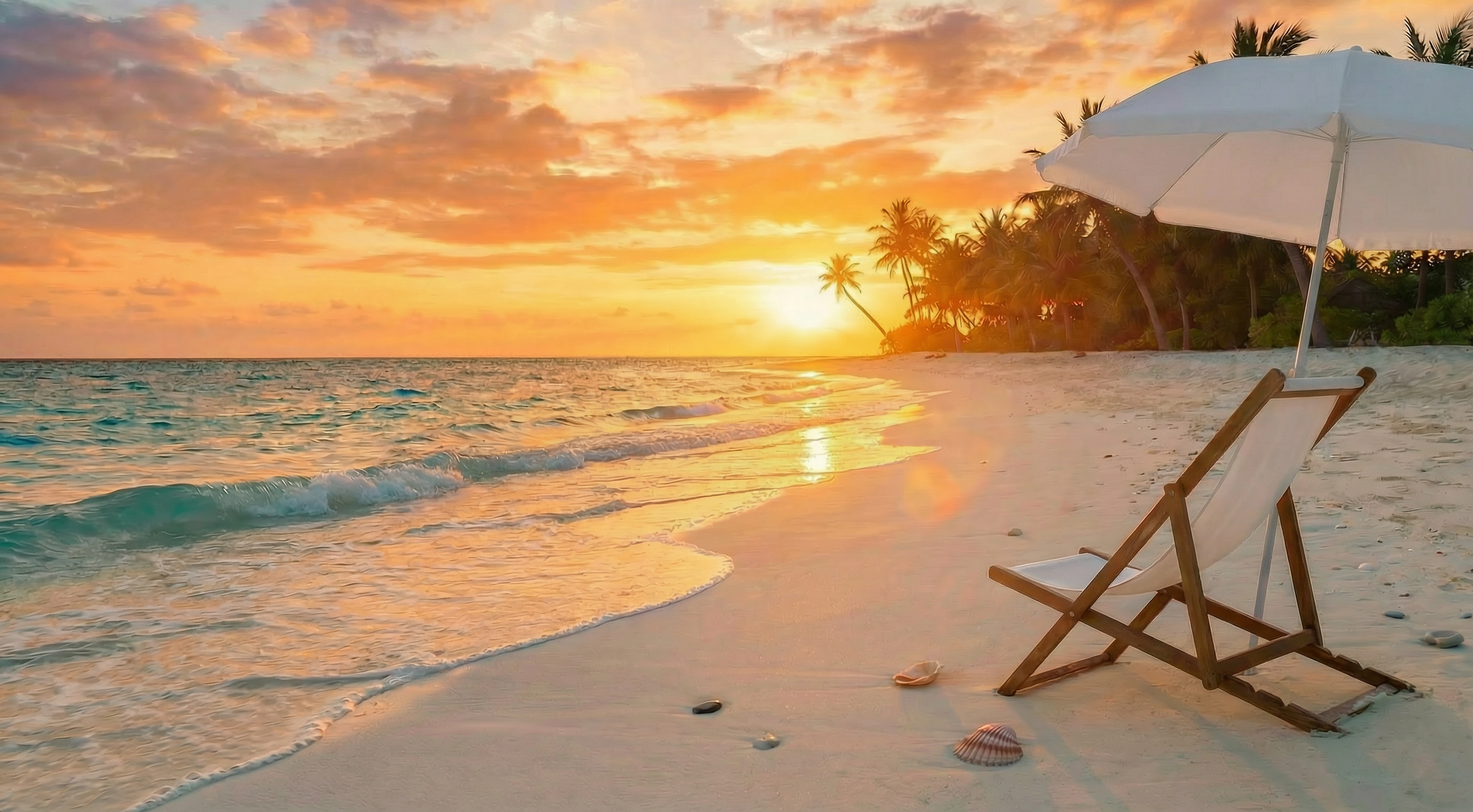 Warm Tropical Beach